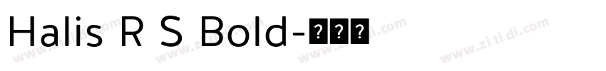 Halis R S Bold字体转换